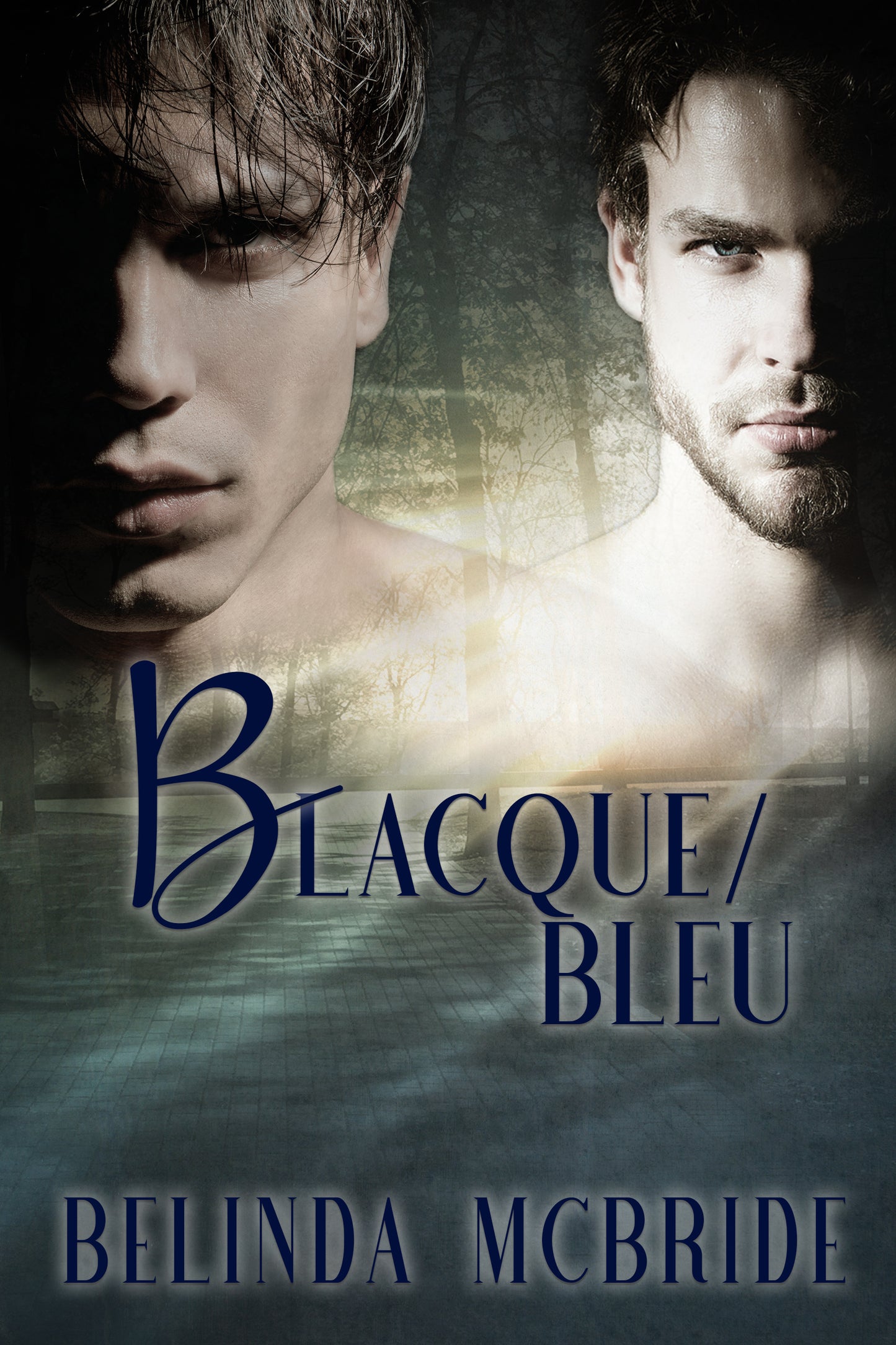 Blacque/Bleu (Arcada #1) e-book
