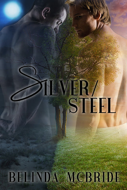 Silver/Steel (Arcada #2) E-book